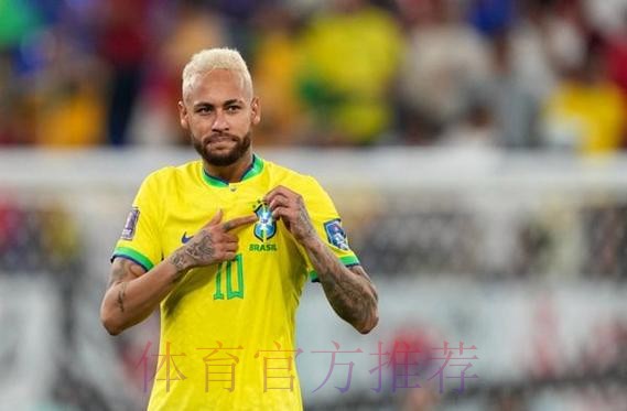 本届世界杯荷兰维尼修斯赛程分析全解析