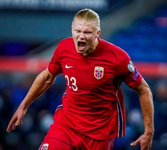 世界杯葡萄牙哈兰德比赛解读最新更新